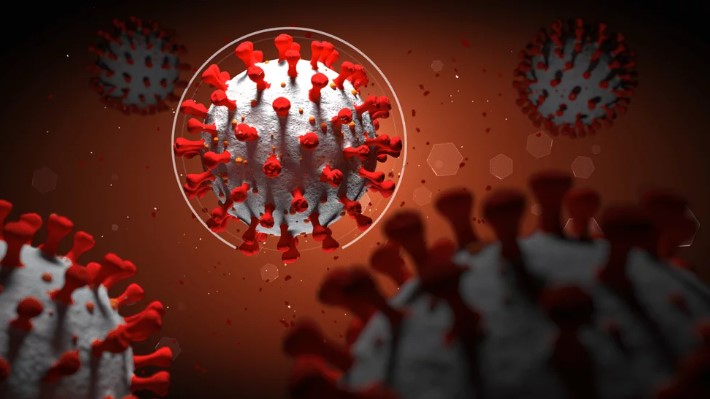 Beta-Caryophyllene Blood Sugar Effects
